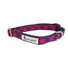 Bailey -Soft Collars For Puppies And Large Dogs
