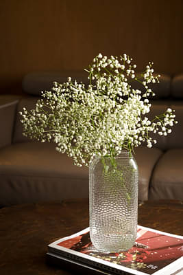 Agarwal's Creations Crystal Bloom Flower Vase image