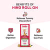Babyorgano Hing Roll On Relieves in Colic, Tummy Discomfort, Indigestion & Soothes Gas Pain for New Born Baby with 100% Ayurvedic Formulation 40ml