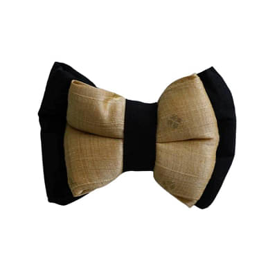 Black And Gold Bow image