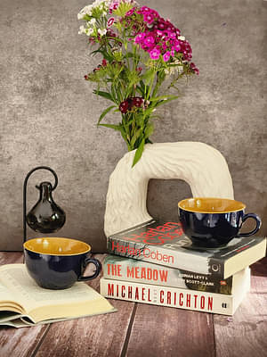 Blueberry And Mustard Yellow Colored Glossy Ceramic  Cappuccino/Latte/Soup Mug image
