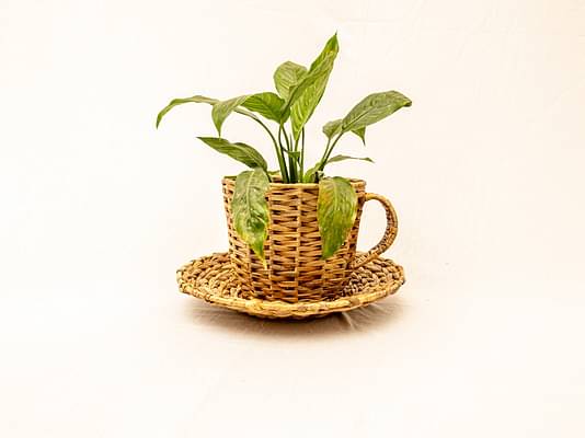 Cup & Saucer Planter image