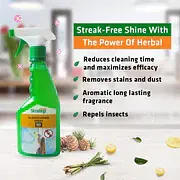 Herbal Glass cleaner,Disinfectant & Insect Repellent 5 Litre image