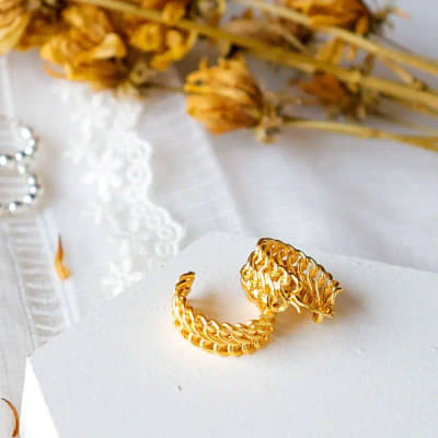 Hoops - Gold Plated Brass Metal Earrings image