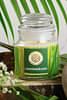 House of Aroma Lemongrass Scented Candle for Aromatherapy, Made with 100% Natural Wax and Essential Oils