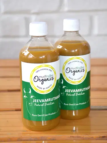 Jeevamrutham (Set Of 2 Bottles) image