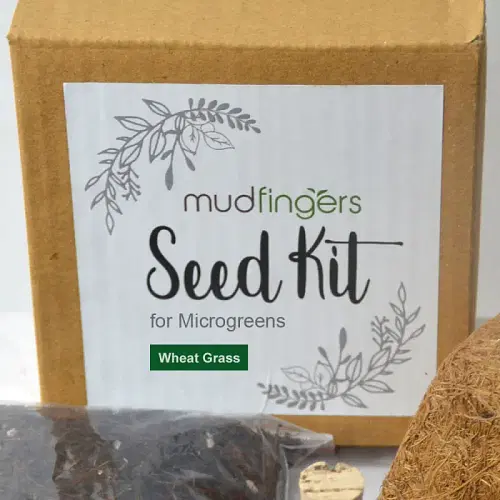 Microgreens Seed Kit image