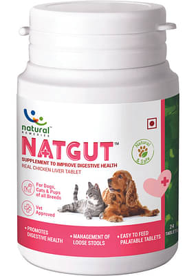 Natgut 24 Tablets image