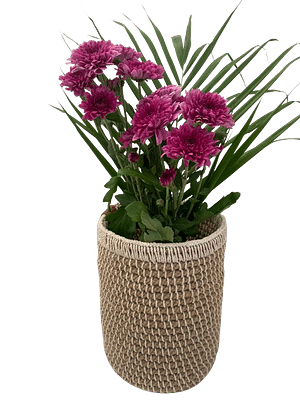 Natural Jute Planter image