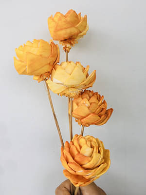 Ombre Ochre Sola Flower (5Pcs) image