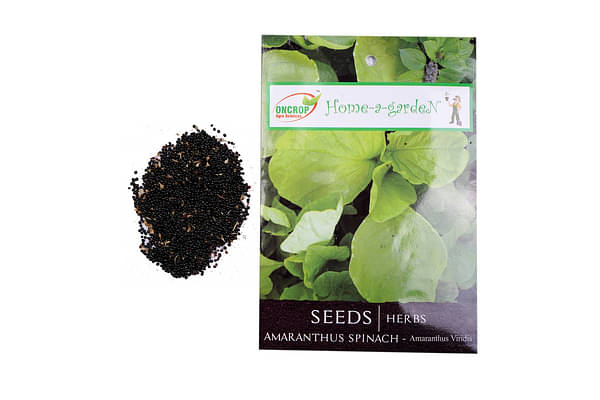 Oncrop Amaranthus Spinach, Brinjal Green Long, Cluster Beans,& Green Peas Seeds (Set of 4 packs) image