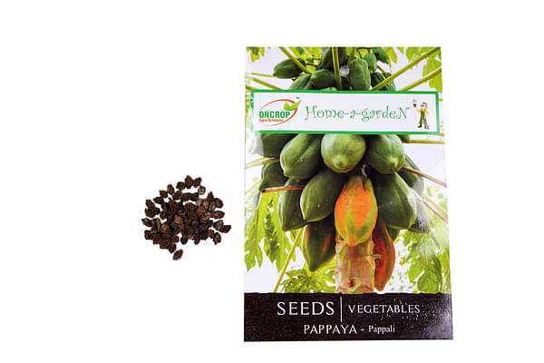 Oncrop Pappaya, Knolknol, Menthi,& Snake Gourd Seeds (Set of 4 packs) image