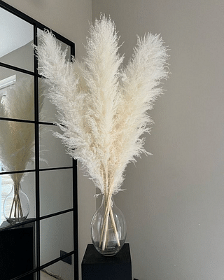 Pampas White-Xl -Set Of 10 Stems image