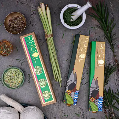 Phool Mosquito Repellant Combo Pack - Natural Incense Sticks Citronella & Eucalyptus image