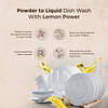 Powder-To-Liquid Dish Wash