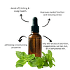 Sobek Naturals Peppermint essential oil 30 ML for Aromatherapy | Use on face and skin