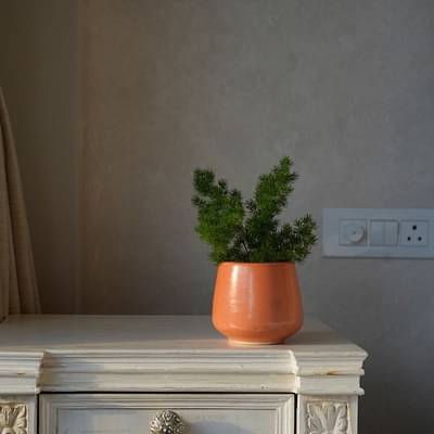 The Confetti Tree Stoneware Coral Planter | Small image