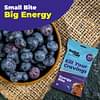 Energy Bites - Fresh Blueberry