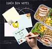 Doxbox Lunch Box Notes