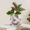 Gathari Desk Planter For Table, Home & Office, Shelf Small Compact And Portable Planter - 02