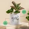 Gathari Desk Planter For Table, Home & Office, Shelf Small Compact And Portable Planter - 02