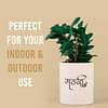 Gathari Desk Planter For Table, Home & Office, Shelf Small Compact And Portable Planter - 02