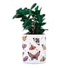 Gathari Desk Planter For Table, Home & Office, Shelf Small Compact And Portable Planter - 02