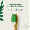 teeth-a-bit The Pledge Bamboo Toothbrush Adults Hefty Handle with Gum Sensitive Soft Bristles Pack of 2 (Forest Green)