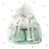 Tiny Snooze First Year Gift Set- Arctic